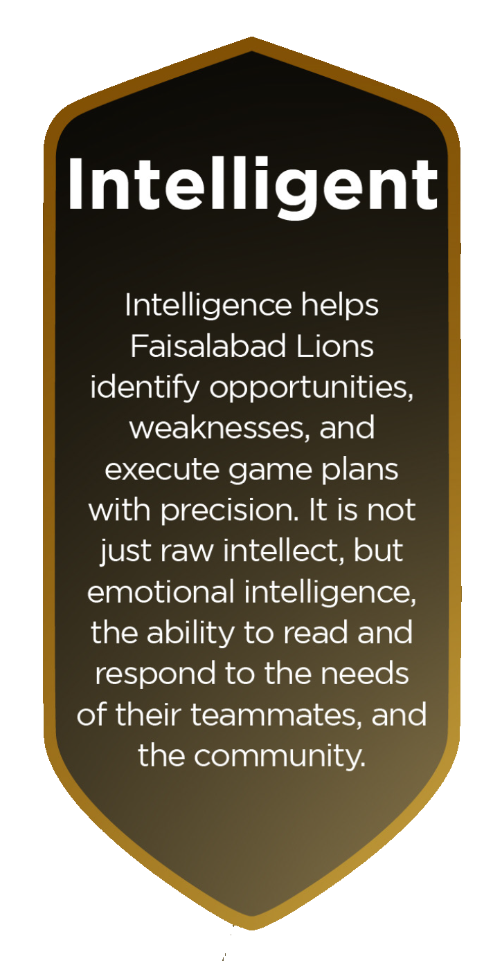 faisalabad lions intelligent