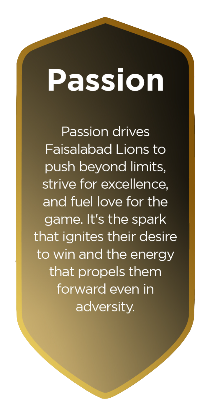 faisalabad lions passion