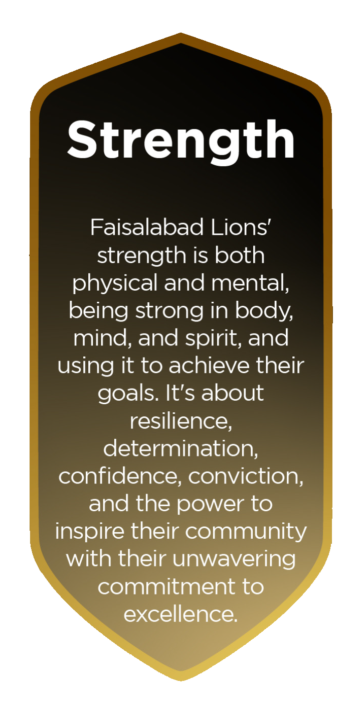 faisalabad lions strength